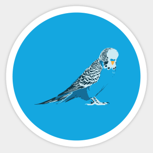 Budgie Sticker